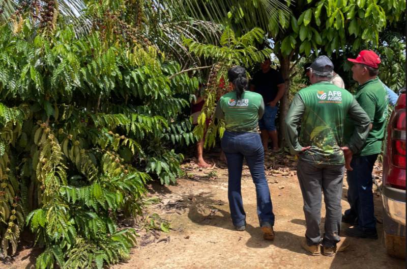 AFB AGRO